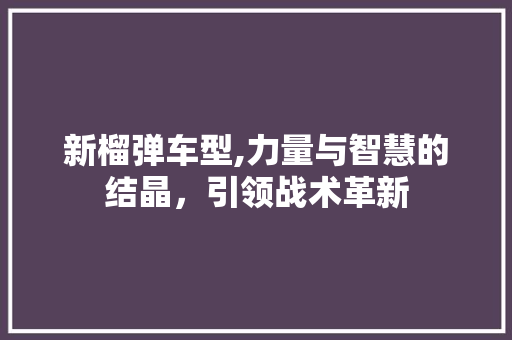 新榴弹车型,力量与智慧的结晶，引领战术革新