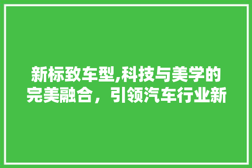 新标致车型,科技与美学的完美融合，引领汽车行业新风尚