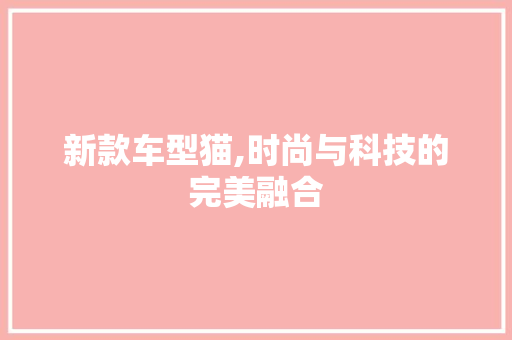 新款车型猫,时尚与科技的完美融合