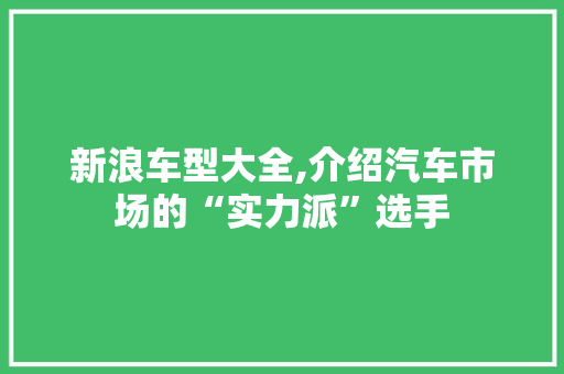 新浪车型大全,介绍汽车市场的“实力派”选手