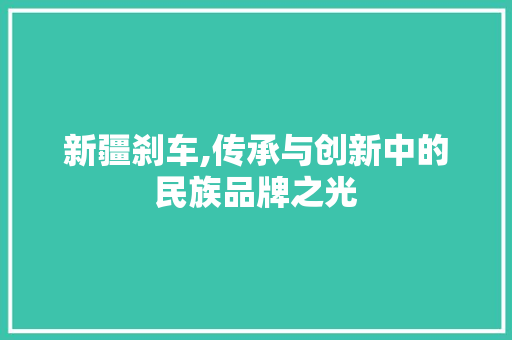 新疆刹车,传承与创新中的民族品牌之光