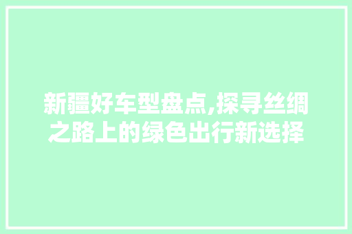 新疆好车型盘点,探寻丝绸之路上的绿色出行新选择
