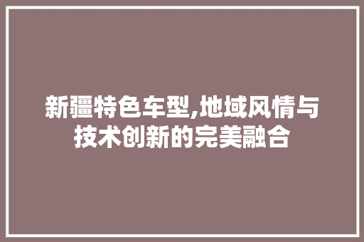 新疆特色车型,地域风情与技术创新的完美融合
