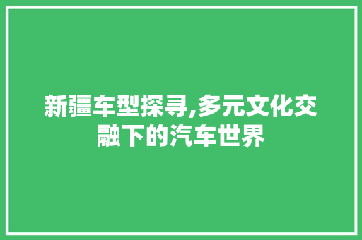 新疆车型探寻,多元文化交融下的汽车世界