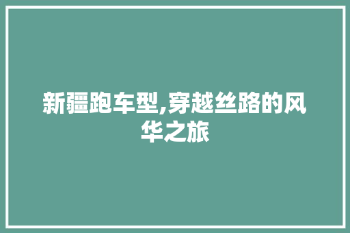 新疆跑车型,穿越丝路的风华之旅