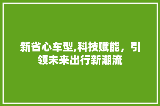 新省心车型,科技赋能，引领未来出行新潮流