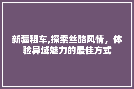 新疆租车,探索丝路风情，体验异域魅力的最佳方式