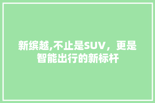 新缤越,不止是SUV，更是智能出行的新标杆