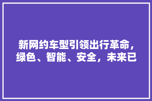 新网约车型引领出行革命，绿色、智能、安全，未来已来
