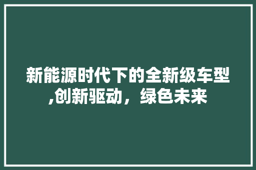 新能源时代下的全新级车型,创新驱动，绿色未来