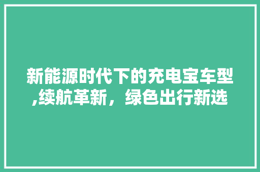 新能源时代下的充电宝车型,续航革新，绿色出行新选择