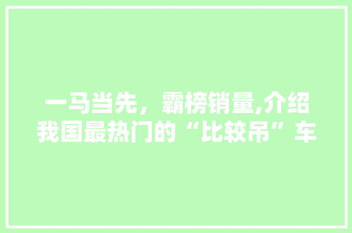 一马当先，霸榜销量,介绍我国最热门的“比较吊”车型