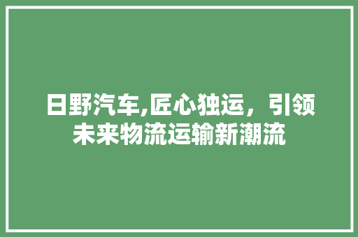 日野汽车,匠心独运，引领未来物流运输新潮流