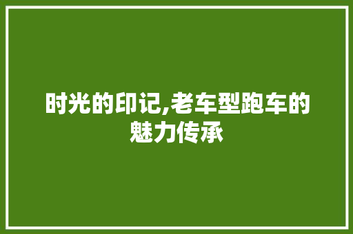 时光的印记,老车型跑车的魅力传承