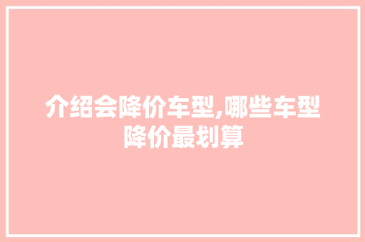 介绍会降价车型,哪些车型降价最划算 车身配件