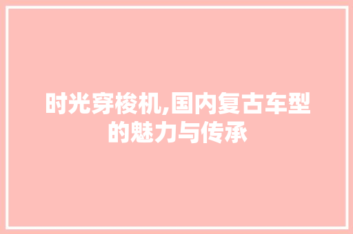 时光穿梭机,国内复古车型的魅力与传承