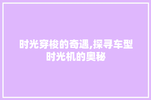 时光穿梭的奇遇,探寻车型时光机的奥秘