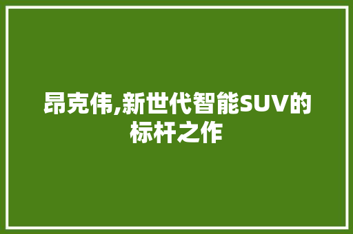 昂克伟,新世代智能SUV的标杆之作