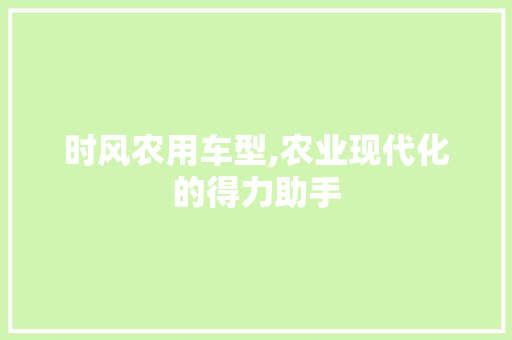 时风农用车型,农业现代化的得力助手