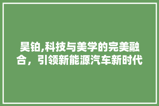昊铂,科技与美学的完美融合，引领新能源汽车新时代