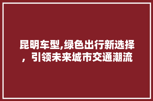 昆明车型,绿色出行新选择，引领未来城市交通潮流