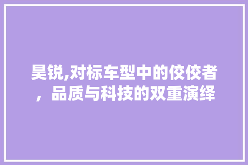 昊锐,对标车型中的佼佼者，品质与科技的双重演绎