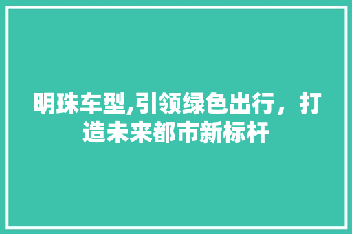 明珠车型,引领绿色出行，打造未来都市新标杆