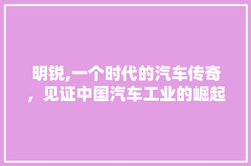 明锐,一个时代的汽车传奇，见证中国汽车工业的崛起