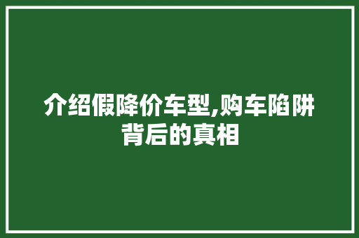 介绍假降价车型,购车陷阱背后的真相