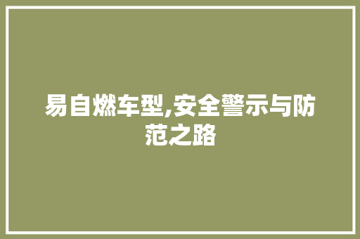 易自燃车型,安全警示与防范之路