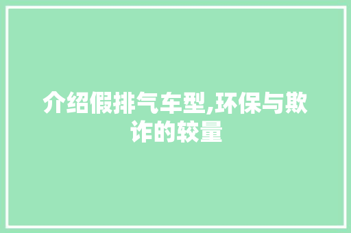 介绍假排气车型,环保与欺诈的较量