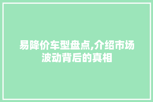 易降价车型盘点,介绍市场波动背后的真相