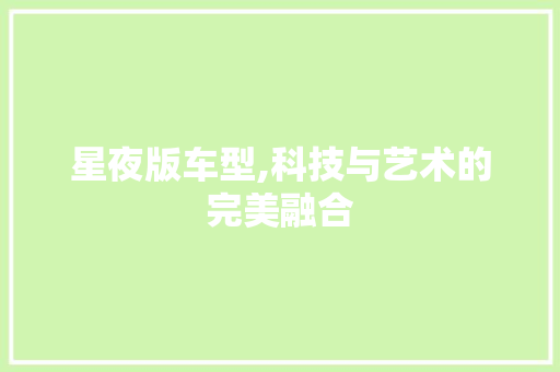 星夜版车型,科技与艺术的完美融合