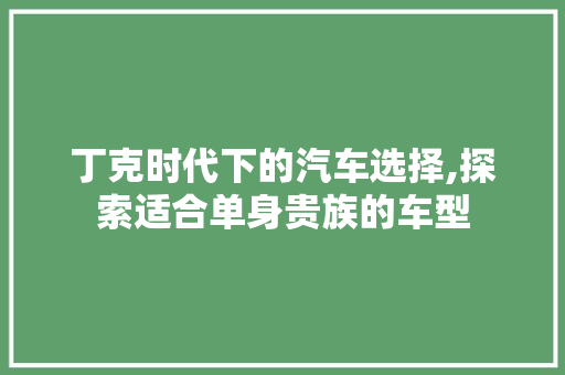 丁克时代下的汽车选择,探索适合单身贵族的车型