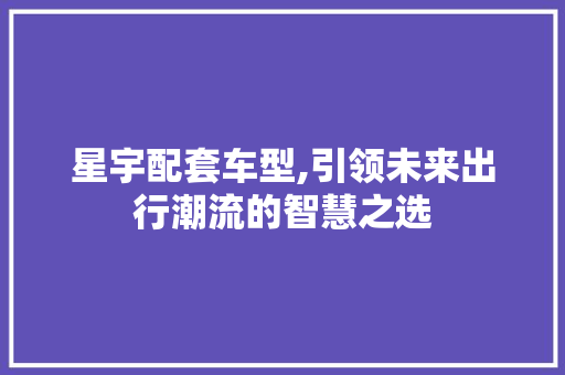 星宇配套车型,引领未来出行潮流的智慧之选