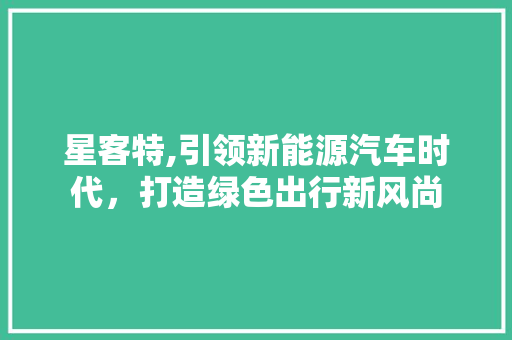 星客特,引领新能源汽车时代，打造绿色出行新风尚