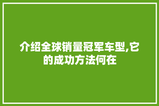 介绍全球销量冠军车型,它的成功方法何在