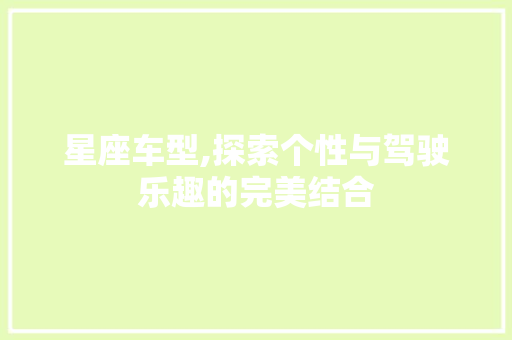 星座车型,探索个性与驾驶乐趣的完美结合