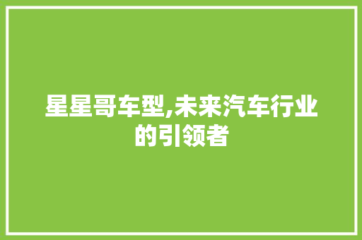 星星哥车型,未来汽车行业的引领者