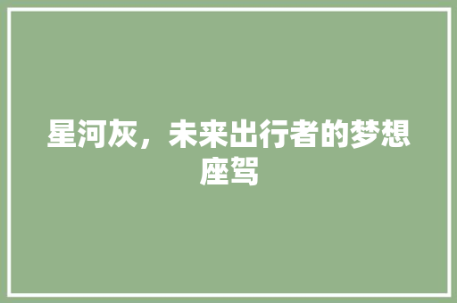 星河灰，未来出行者的梦想座驾