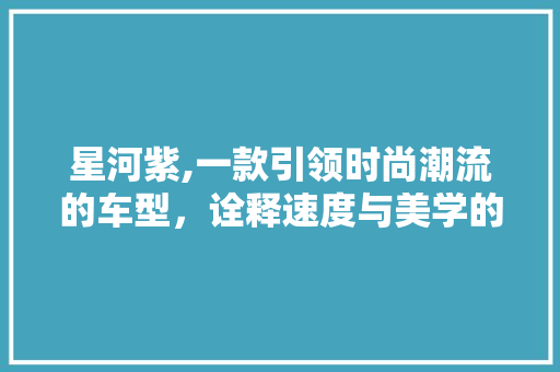 星河紫,一款引领时尚潮流的车型，诠释速度与美学的完美结合