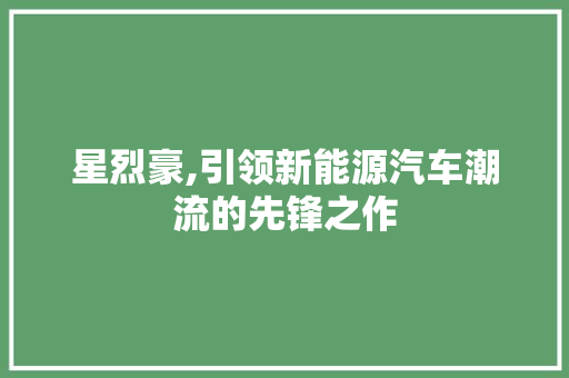 星烈豪,引领新能源汽车潮流的先锋之作