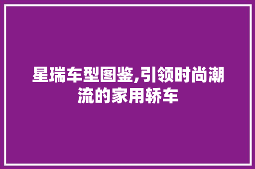 星瑞车型图鉴,引领时尚潮流的家用轿车