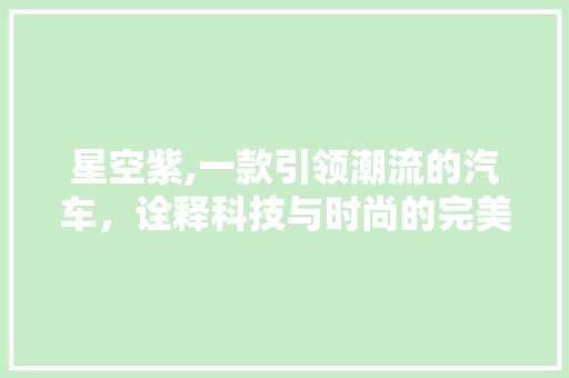星空紫,一款引领潮流的汽车，诠释科技与时尚的完美融合