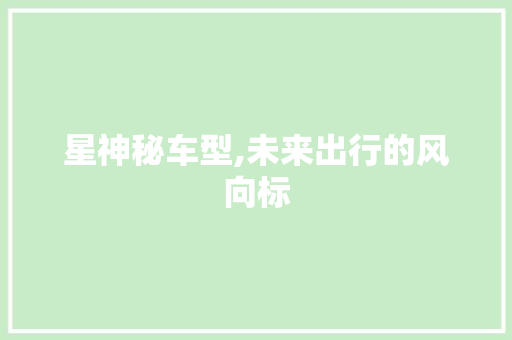 星神秘车型,未来出行的风向标