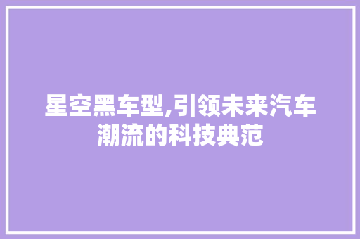 星空黑车型,引领未来汽车潮流的科技典范