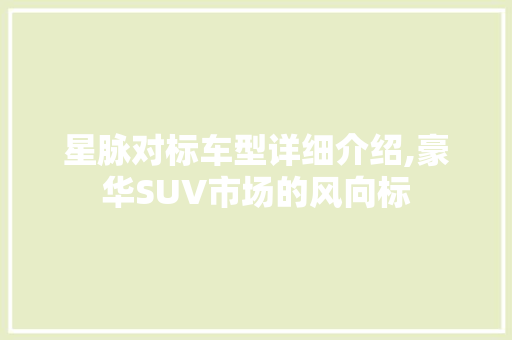 星脉对标车型详细介绍,豪华SUV市场的风向标