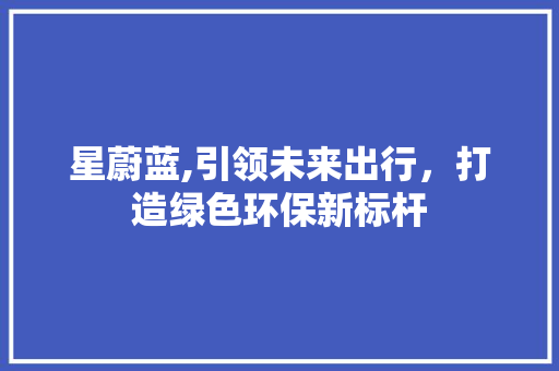 星蔚蓝,引领未来出行，打造绿色环保新标杆