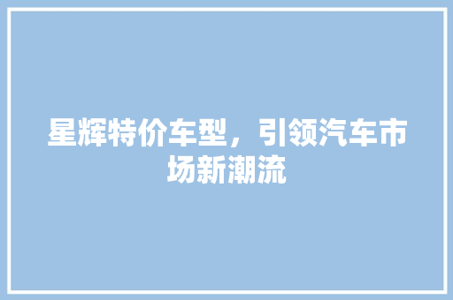 星辉特价车型，引领汽车市场新潮流