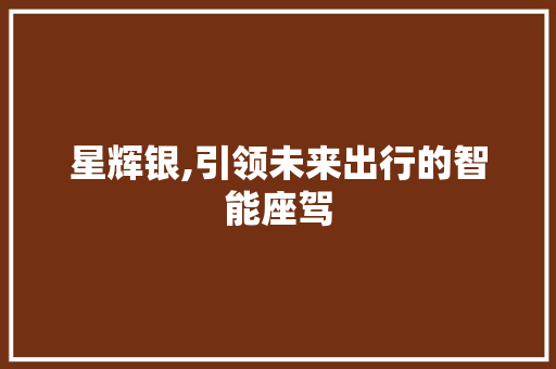 星辉银,引领未来出行的智能座驾